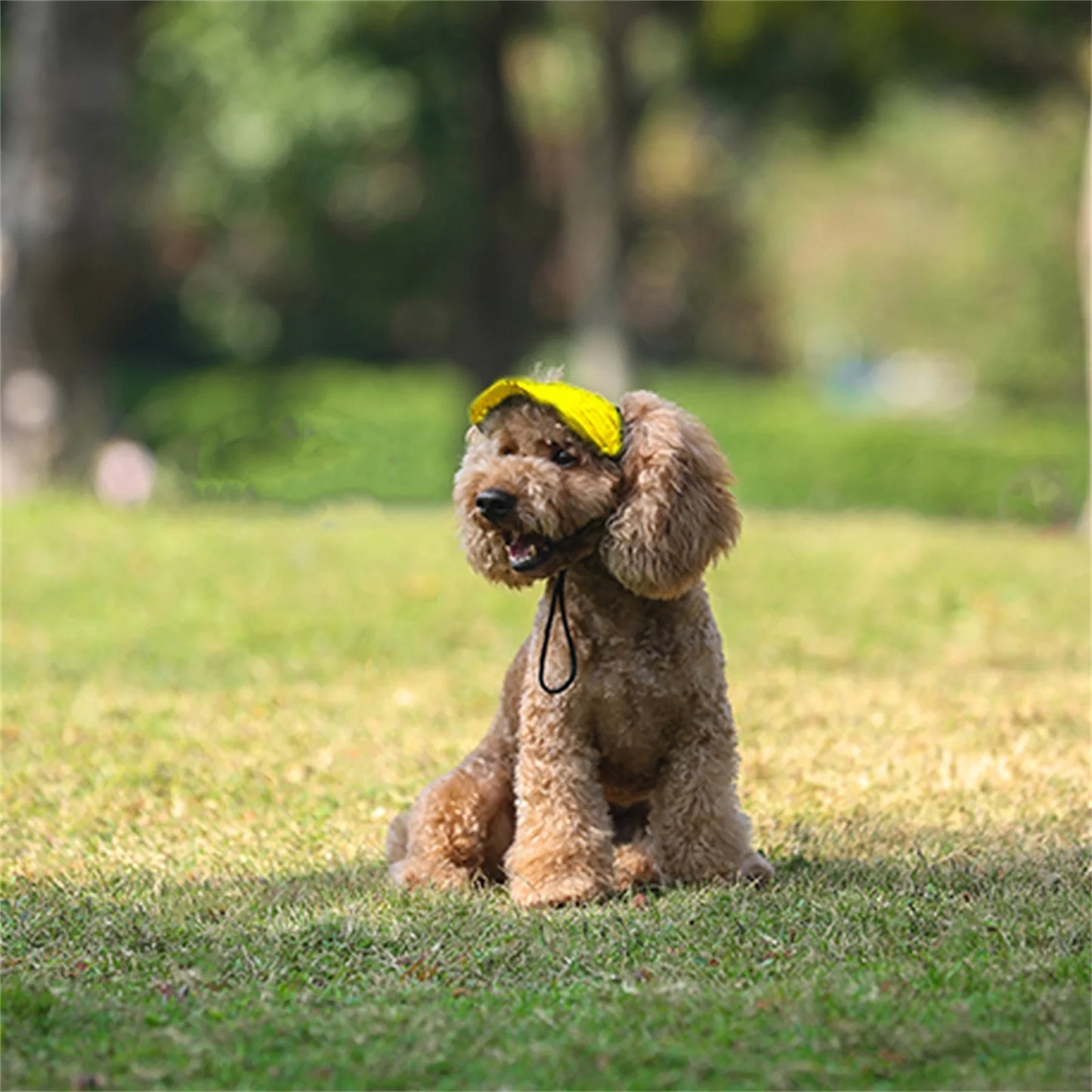 Adjustable Pet Dog Travel Cute Baseball Hat Sun Cap Visor Hat with Ear Holes Outdoor Sport Pet Supplies