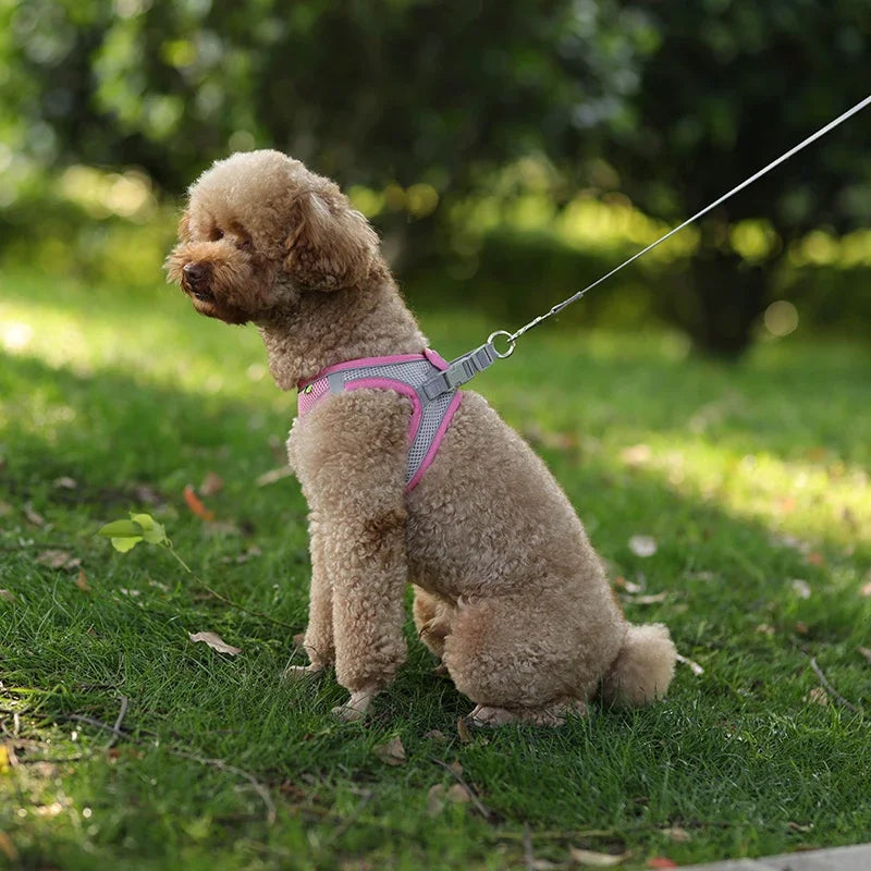 Puppy Harness Set Dog Accessories Adjustable Puppy and Cat Harness Vest French Bulldog Chihuahua Small Dog Collar Pet Leash Dogs