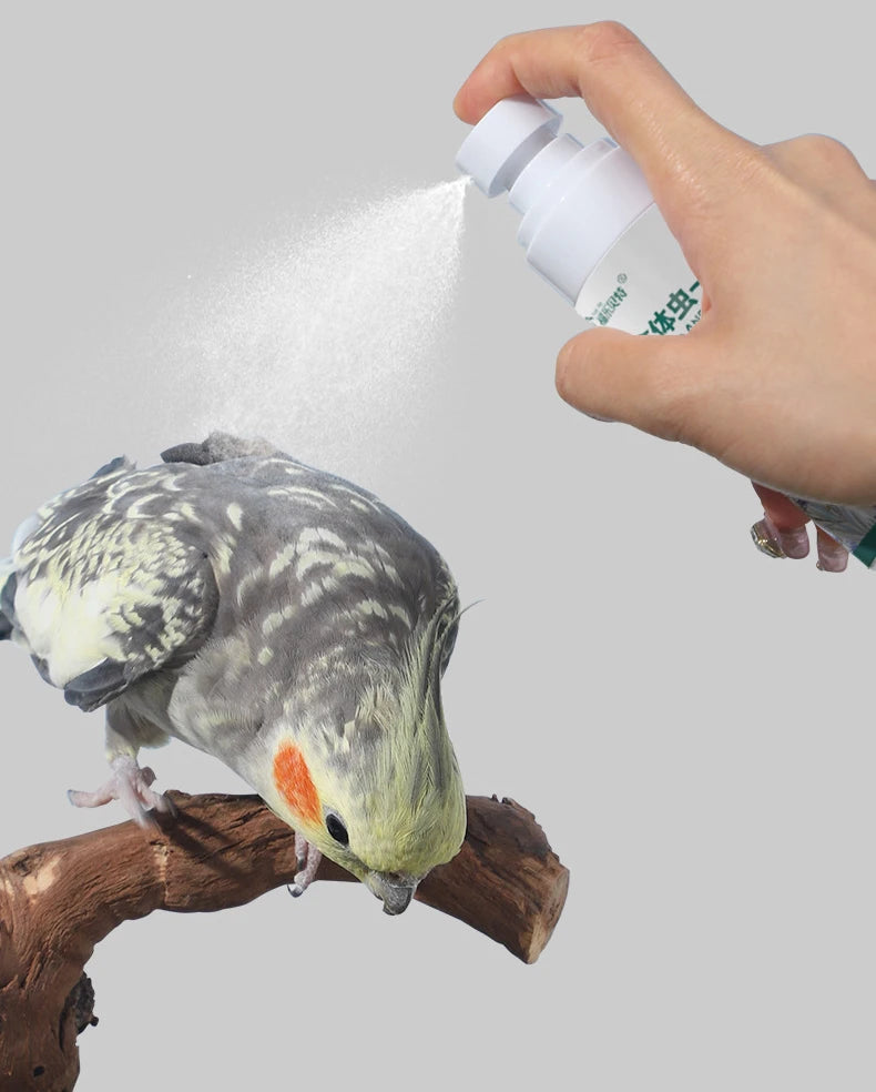 Bird insect repellent 100ml parrot supplies in addition to feather lice mites sterilization in vitro insect spray starling thrus