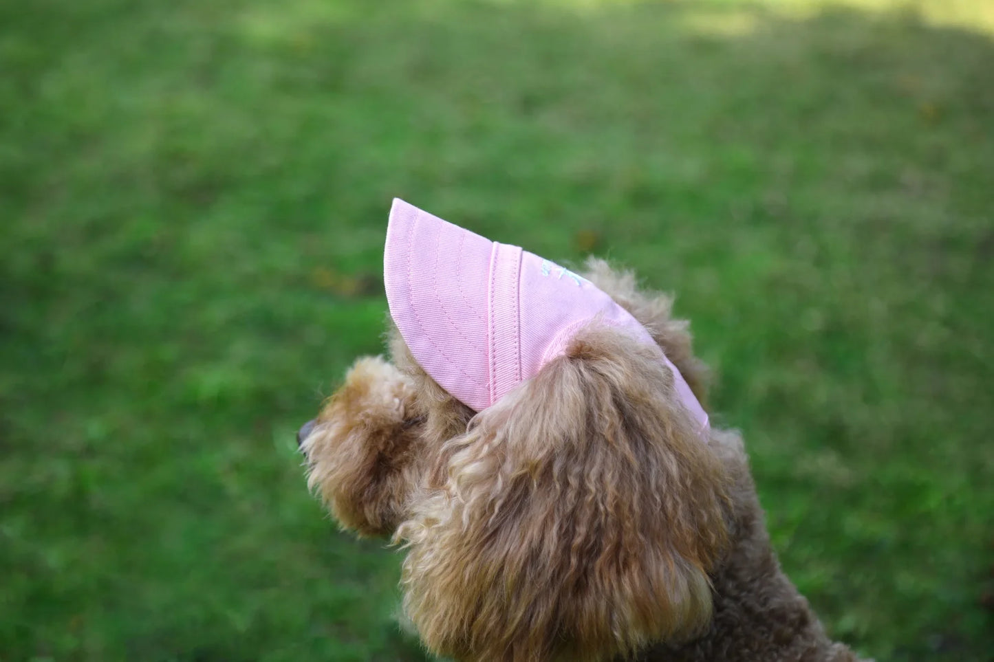 Adjustable Pet Dog Travel Cute Baseball Hat Sun Cap Visor Hat with Ear Holes Outdoor Sport Pet Supplies