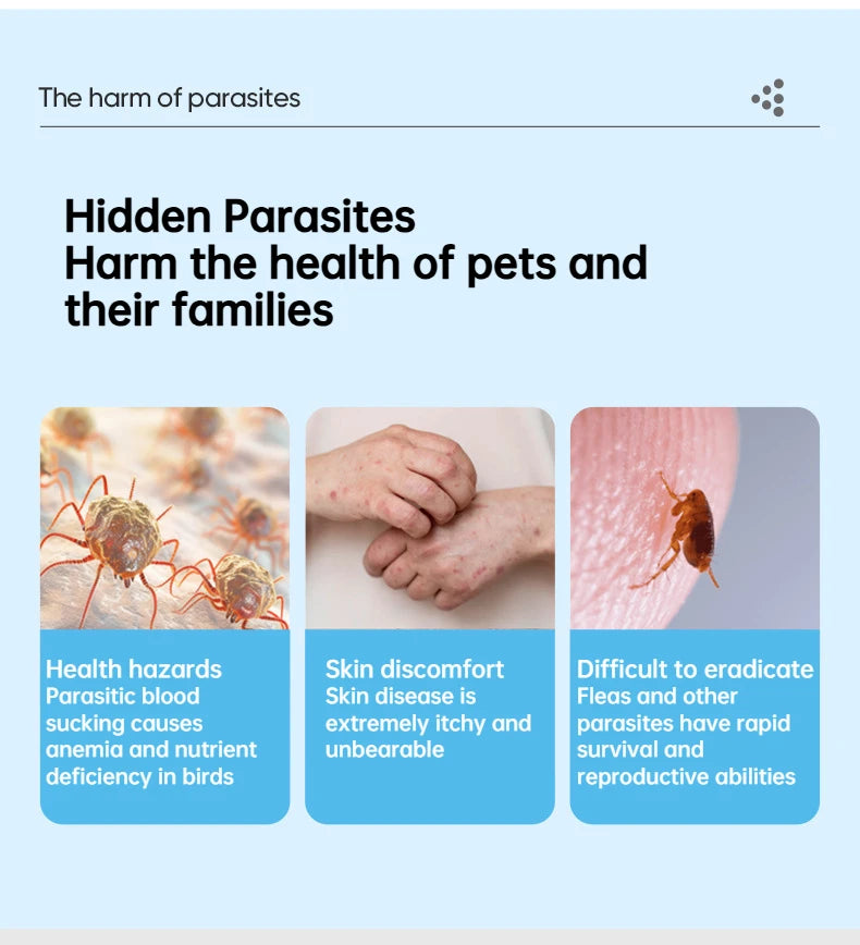 Bird insect repellent 100ml parrot supplies in addition to feather lice mites sterilization in vitro insect spray starling thrus