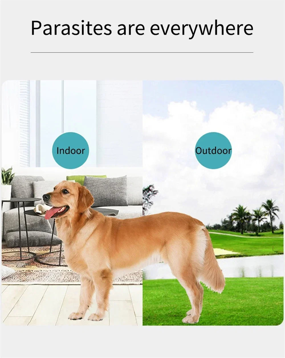 Pet Dog Flea Killer Vitro Drops Long-Lasting Control Repel Anti Fleas Cat Ticks Lice Insect Remover For Cats Dogs Repeller 120ML