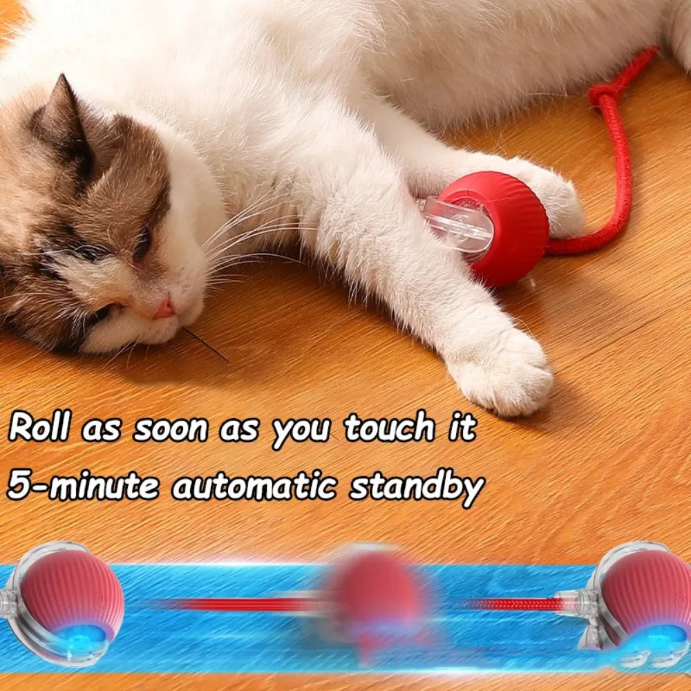 Automatic Rolling Ball Cat Toy Rechargeable Interactive Smart Pet Electric Mouse Imitation Tail for Dog And Cat Training